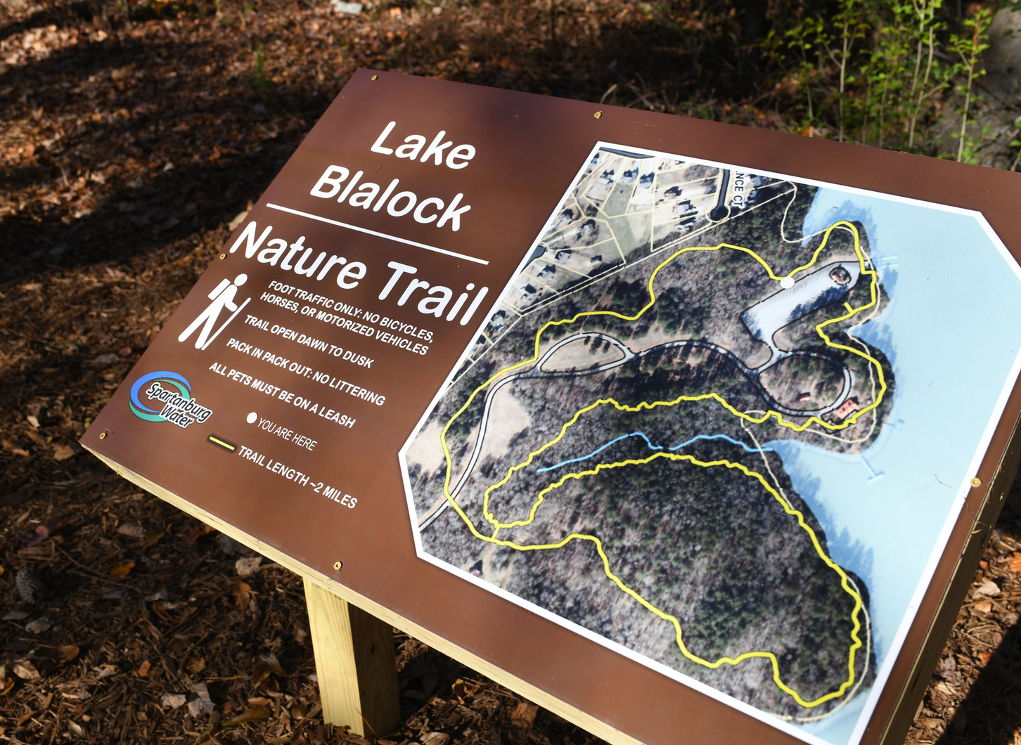 nature trail