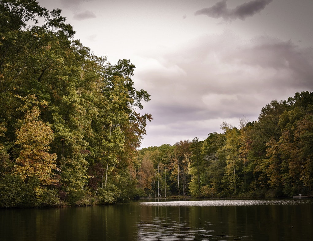 Lake Blalock Policies and Guidance