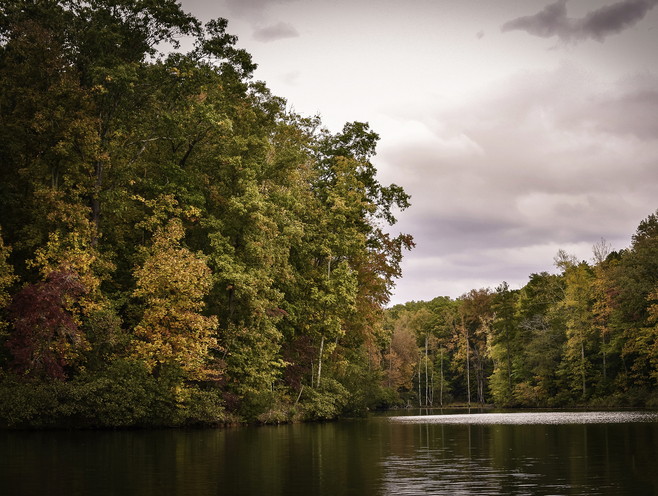 Lake Blalock